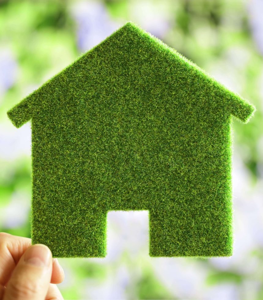 green-eco-house-environmental-background-2021-08-26-22-29-58-utc (1) (1)